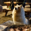 한계령오색펜션 이미지