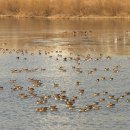 서호공원 이미지