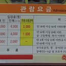 나비꼬마김밥 이미지