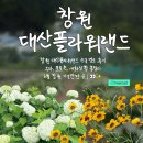 대산 | 창원 대산플라워랜드 수국 명소 후기｜주차, 포토존, 개화 상황 총정리｜6월 창원 가볼 만한 곳