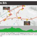 씨유 울산상북길천점 | 대회정보| 2026 영남알프스 전국하프마라톤 접수 일정 정리