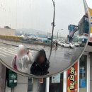 바다마을 묵호 다이어리