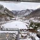 다숲키즈펜션 이미지