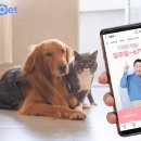 펫# 이미지