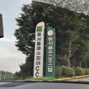 원주 가성비 골프장 동서울레스피아CC 20홀 3인 플레이 캐디 라운딩