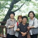 괴정4동-7 이미지