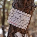 바위와 산성 이미지