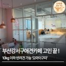 오마이구미 | 부산강서구애견동반카페 김해공항 근처 ‘오마이구미’ 솔직후기