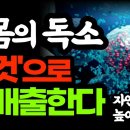 내몸의 독소를 배출하는 생활습관 / 자연치유력을 높이는 법 / 독소배출 노하우 영상 합본 이미지