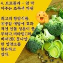 수경목장 이미지