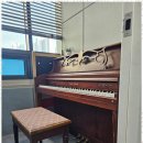 어린음악대음악학원 이미지