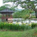 진주 용호정원 이미지
