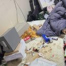 클린어게인 이미지