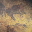 아멜리아 이미지