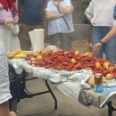 Where the Crawdads Sing | 책소개: &#34;Where the Crawdads Sing&#34;