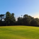 신원2로 이미지