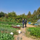 강남중의 강남 내곡동 최고부지 급매 이미지