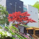 하남공원1 이미지