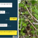 꽃같은하루