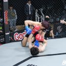 세계챔피언짐 이미지