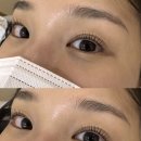 ANNAEYELASH(안나아이래쉬) 네이버블로그