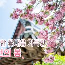 꽃내음가득 이미지