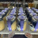 작전시장생선 | 누마즈항 맛집 고테츠 카이센동 솔직후기 (주차·오픈런 꿀팁 / 시즈오카 여행)