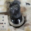 연화카센타 이미지