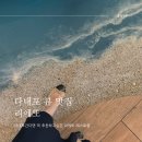 리에또식당 이미지