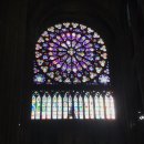 미리암약국 이미지