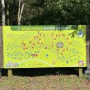 붉은오름자연휴양림3 | 제주도 캠핑 붉은오름자연휴양림 15번 데크 우중캠핑