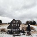 승마공원 | [제주여행]제주 아이와 가볼만한 곳/승마체험 추천 제주승마공원 후기🐎