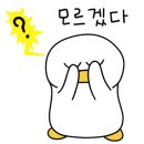 월리출판사