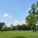 일월공인중개사사무소 이미지