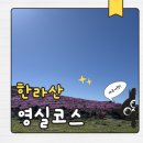중문레지나김밥 | 제주 영실코스 철쭉 윗세오름 주차 후기 5,6월 한라산 등산코스 추천