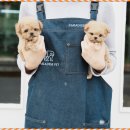 더 샵 동물메디컬센터 이미지