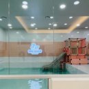 핑크고래 이미지