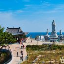 (주)소프트에이드 이미지