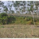 삼종농장 이미지