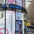 선남seaworld 이미지