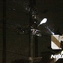 제주 와싱톤 이미지