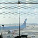 제주도 가족여행 3박 4일 (에코랜드, 쇠소깍, 한라산 소주공장 외)