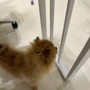우린네일 네이버블로그