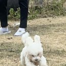 소리야네집 이미지