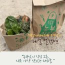 달건너농장 | [양평 로컬푸드] 땅의 정직함과 손의 온기가 만나는 곳, 4월 두물뭍농부시장 셀러 이야기