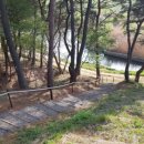 화실산책