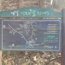 옥녀봉 전망대 이미지