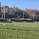 창조영농조합법인 이미지