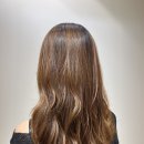 헤어 세이지(Hair sage)