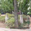 남부순환로72길 이미지